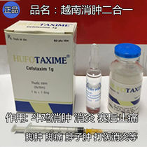 Fighting cock medicine fighting cock swelling medicine fighting cock leg swelling fighting cock foot swelling fighting cock anti-inflammatory medicine fighting cock swelling and pain relief