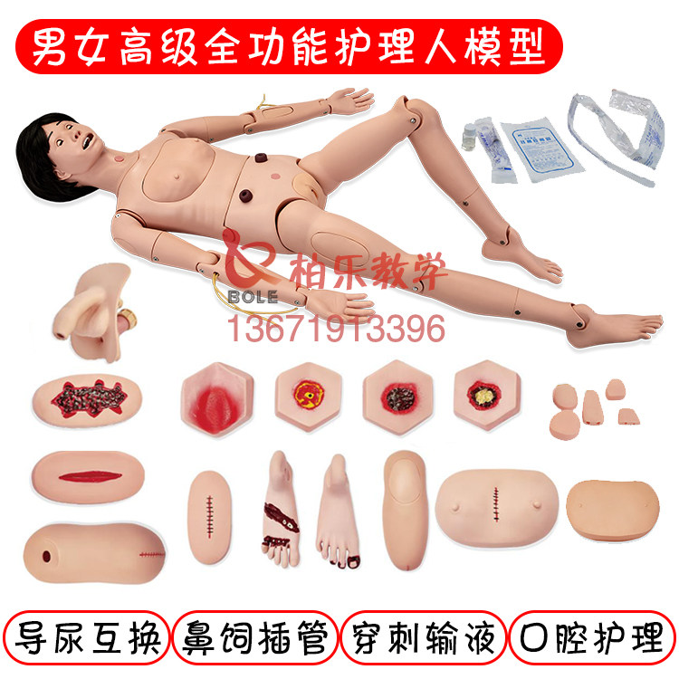 护理人模型训练模拟人体模特多功能男女导尿创伤医学医用假人直销