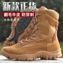 New Brown Fire Combat Training Boots Men Genuine Leather Summer Side Zip Tactical Boots Anti-Puncture Waterproof Desert Training Boots