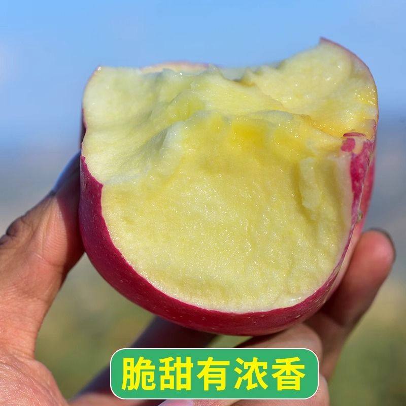 苹果什么时候上市？绝绝子的吃货指南，让你吃到最新鲜的苹果！