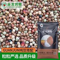 Xiaolong all-purpose bean energy supplement with young pigeons young pigeons and racing pigeons to supplement high protein Jiangsu Zhejiang Shanghai and Anhui 40 pounds