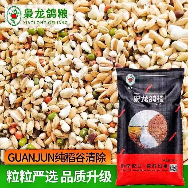 Chuanlong Pigeon Food Saixin Pigeon Pure Rice Removal Feed Without Barley Summer Cooling Bird Food Jiangsu, Zhejiang, Shanghai and Anhui 