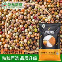 The Lord Dragon Dove Grain Brace for Protein Pigeon Bird Food Racing Pigeon Pigeon Feed No Corn Zhejiang and Anhui 40 Jin