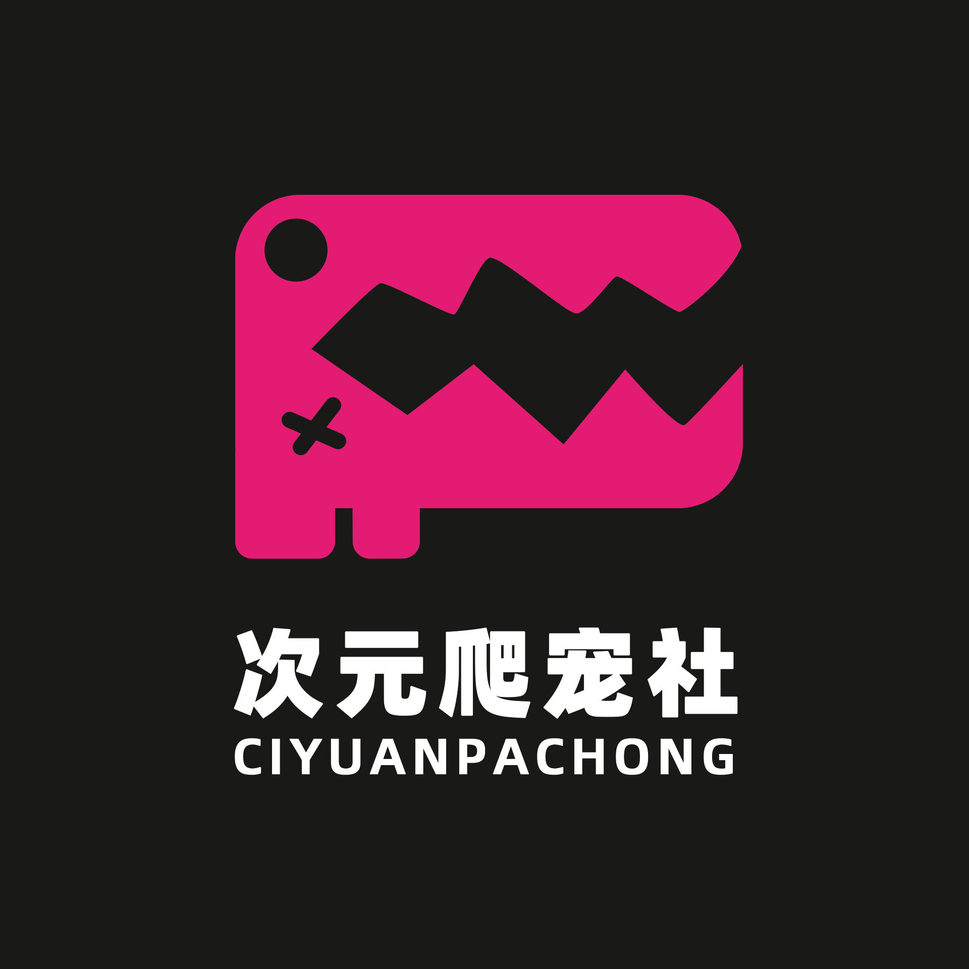 次元爬宠