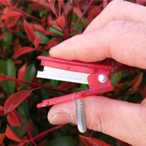 Pick a small hay cutter to pick off the fruit and remove the knife Pinch of the knife apple fruits and vegetables fruits and vegetables cut fruit picker grapes pinching the deity