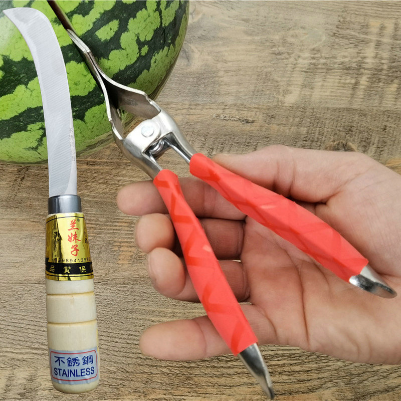 Open watermelon artifact cut watermelon tool cut melon watermelon opener eat watermelon artifact stainless steel break watermelon artifact