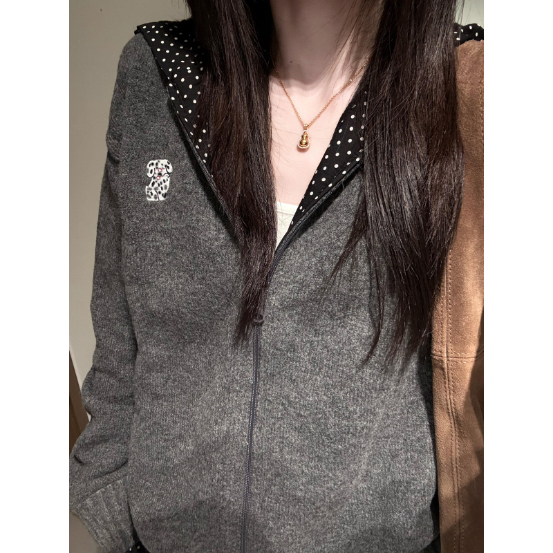 Gorgeous Korean-Style Autumn Jacket, Simple and Unique, Beautiful Hooded Zip-Up Knit Sweatshirt Cardigan for Women