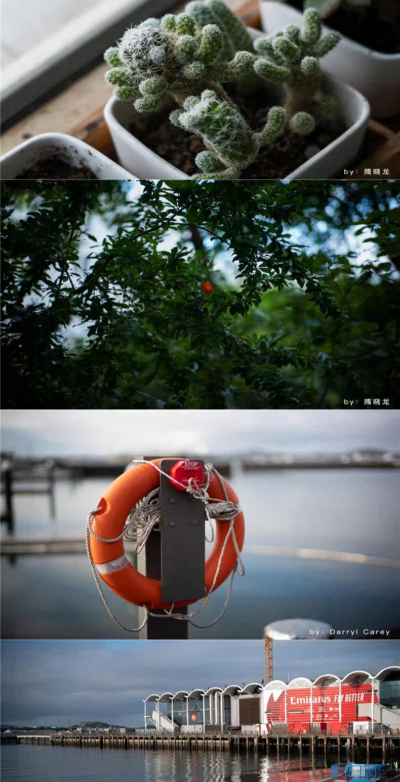 Надпись оптика M50mm f0.95 полностью Формат ночь Бог f0.95 применимый Leica m штык портрет ночной вид объектив 