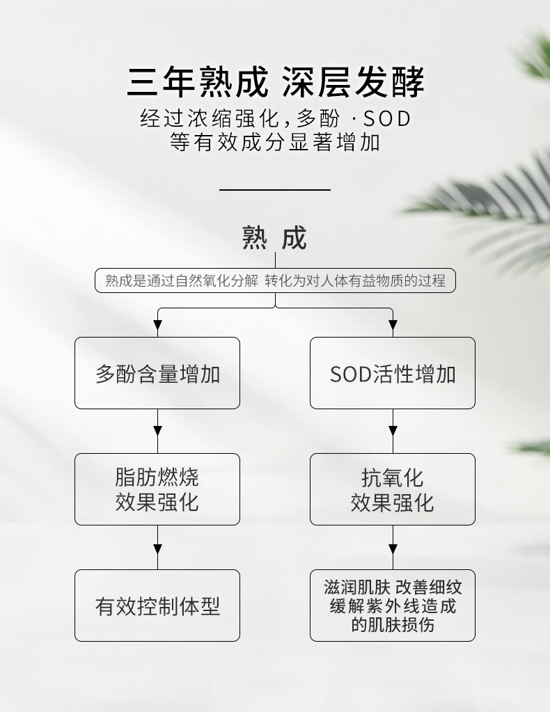 日本进口 DOKKAN 黑金版 三年熟成果蔬酵素 180粒 图4