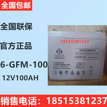 Shuangdeng battery 6-GFM-10012V100AH power plant 12V power plant power equipment battery UPS battery pack