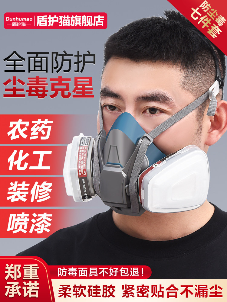 Full-Face Gas Mask, Dustproof Protective Mask, Spray Paint, Advanced Laboratory, Chemical, Activated Carbon, Painter, Pesticide