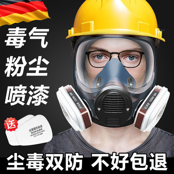 Full-Face Gas Mask for Toxic Gases, Spray Painting, Hydrogen Sulfide, Chemical Plants, Fully Enclosed, Carbon Monoxide Protection