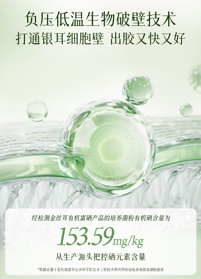 金絲耳有機富硒銀耳干貨60g