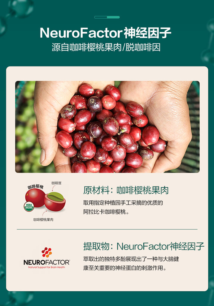 脑动力补脑成人增强脑黄金记忆力
