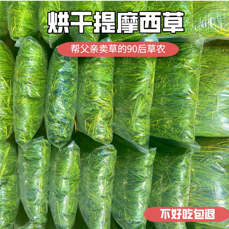 Rabbit eats grass eaten grass and hay rabbit grass hay rabbit grain and hay drying