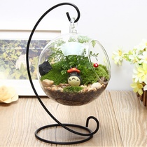 Hanging Glass Vase Multi-Meat Plant Flower Pot Micro Landscape Eco Bottle Transparent Round Pendant Bottle Wedding