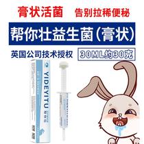 Help you strengthen rabbits and chinchillas with special probiotic nutritional paste to regulate gastrointestinal softness flatulence and loose stools and regulate gastrointestinal tract