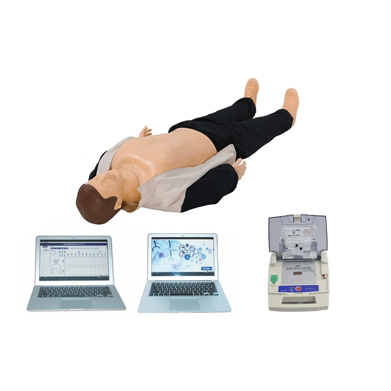Computer control cardiopulmonary resuscitation simulated CPR850 simulation defibrillation teaching first aid training human model