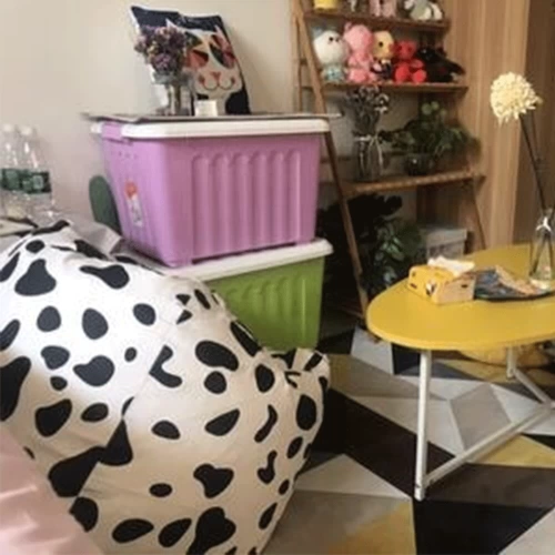 Ленивый диван Сумка бобов татами единственное творческое замайственное окно спальня Симпатичная девочка маленький диван квартиры