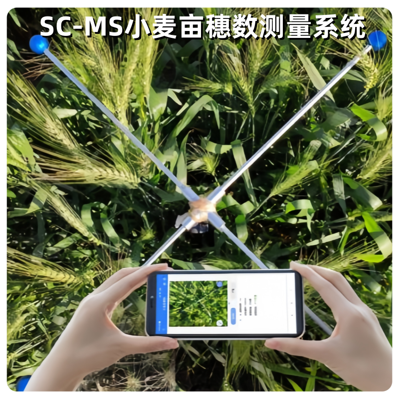 小麦亩穗数测量系统 型号：SC-MS千粒重误差±2‰修正后可达100%