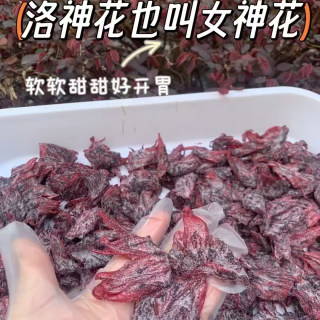乡里阿蓉【洛神花干】潮汕洛神花果脯玫瑰茄干健康无硫好即食酸甜
