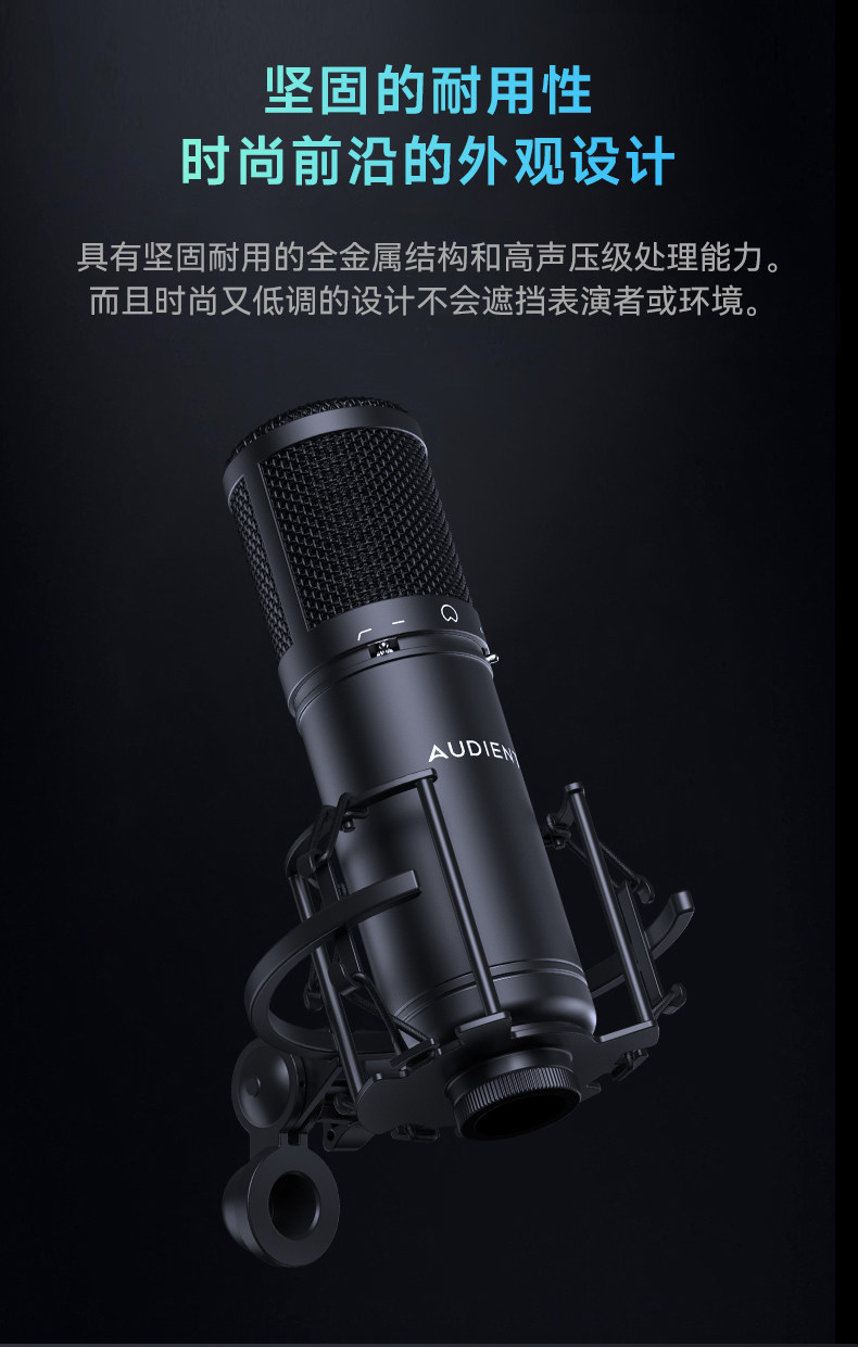 Audient/奥顿特iM88插图11