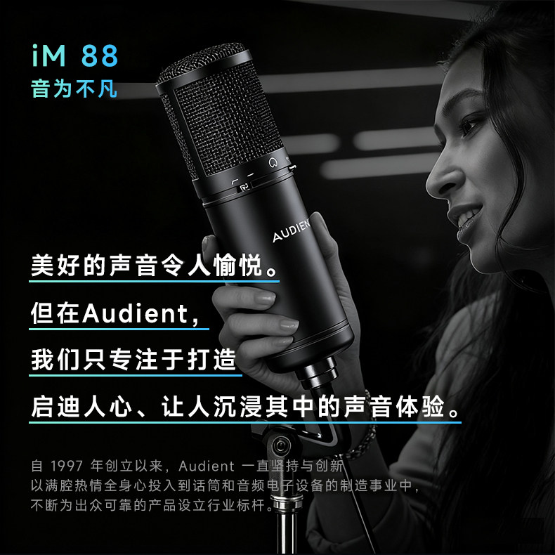 Audient/奥顿特iM88插图3