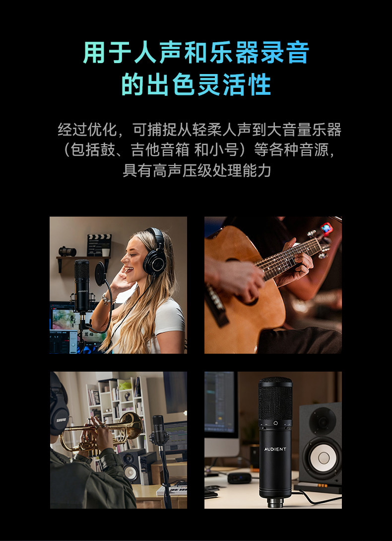 Audient/奥顿特iM88插图10