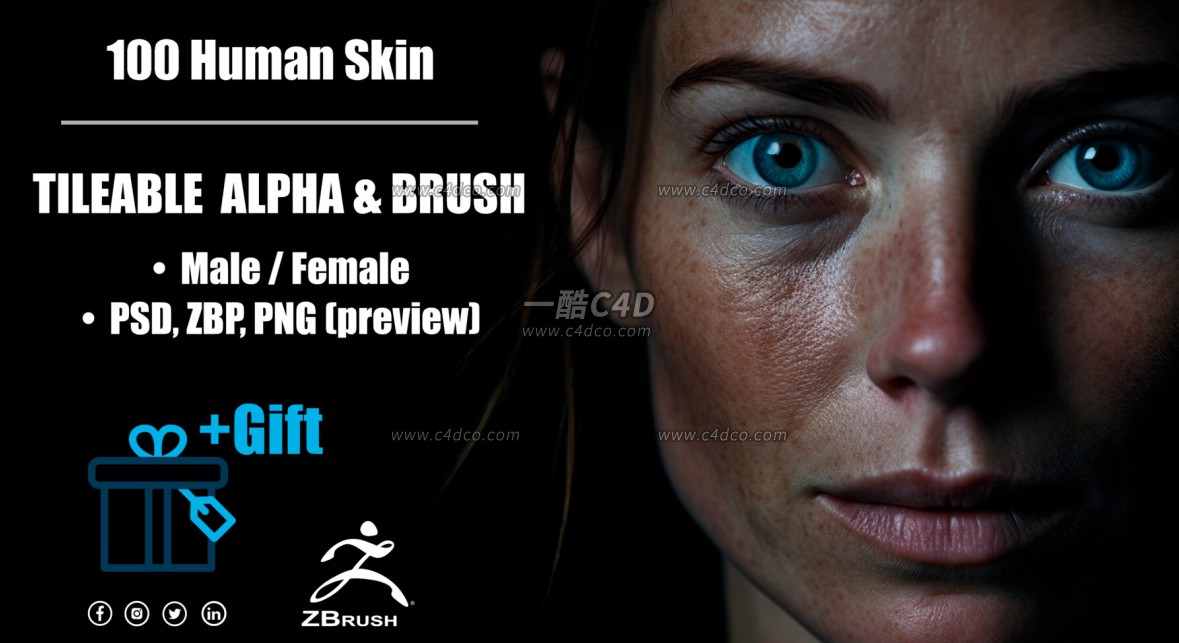 真实人体皮肤zbp笔刷纹理贴图素材