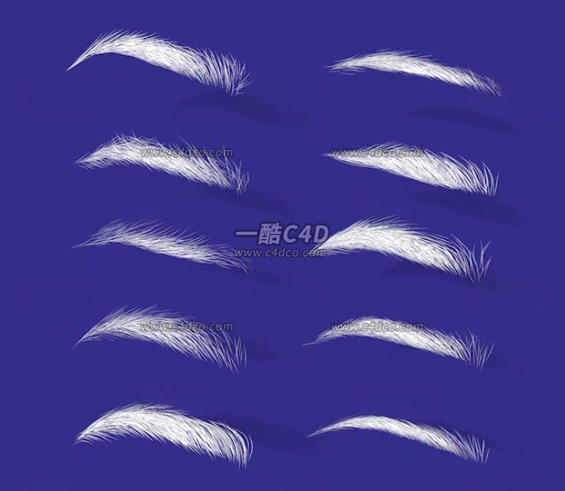 一酷C4D 10个人物眉毛3D模型