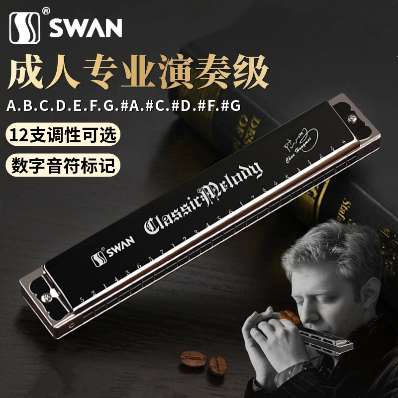 Swan 24 holes comeback harmonica A B C D E F G Beginners Introductory Adult Professional Playing Class