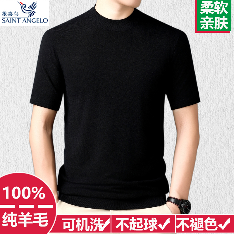 Xiaohongshu Autumn and Winter Thin Short-Sleeved Wool Sweater for Men 100% Pure Wool Half-Turtleneck Business Casual Inner Layer Sweater T-Shirt