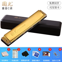 Профессиональная модель 24 -отверстия C Heavy Sound [Gold]+Информация об обучении подаркам