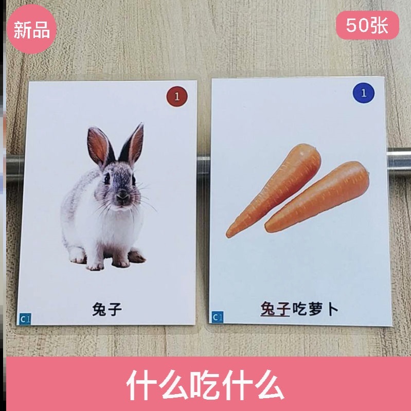 Animals What to eat What cards Lonely Autism Training Cards Language Developmental Delays Aba Rehabilitation Aids