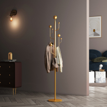 Danish ALD iron art clothes hat rack floor bedroom Xuanguan doorway light extravagant living-room creative hanging clothes hanger multifunction
