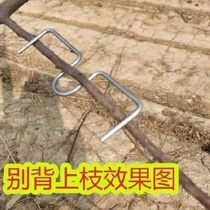 Branch bender fruit tree branch puller branch bender bending shaping clip hook S-type M-type branch puller