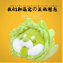 Doll Cabbage Dog Girl Sleeping Pillow Plush Doll Vegetable Doll Toy Tanabata Gift to Boyfriend