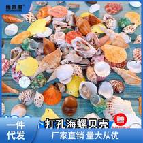 Conch shell starfish set fish tank aquarium decoration window floor home decoration childrens toys small gifts