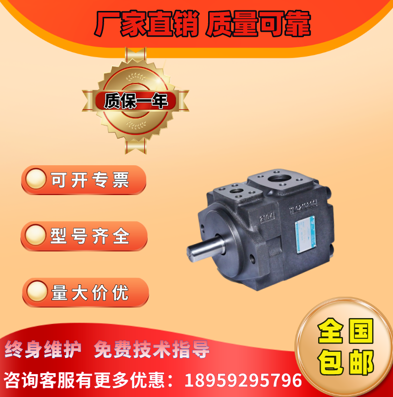 YLC Yolong Ling blade pump PV2R2-41F1 47 53 59 65 70 79 85 RAF hydraulic pump oil pump