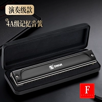 Фундамент f настроен [матово черный]+преподавание+подарок