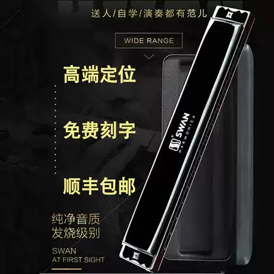 Germany imported reed 28-hole high-end polyphonic harmonica professional performance grade adult beginner C-tone accent