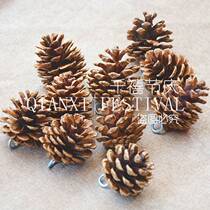 Pine fruit with dry flower Christmas senior decoration furniture kindergarten manual creative decoration DI material