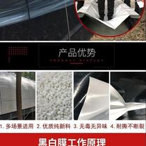 Black and white film plastic cloth thickened greenhouse chicken shed breeding greenhouse sunshade sunscreen vegetable plastic cloth household cover