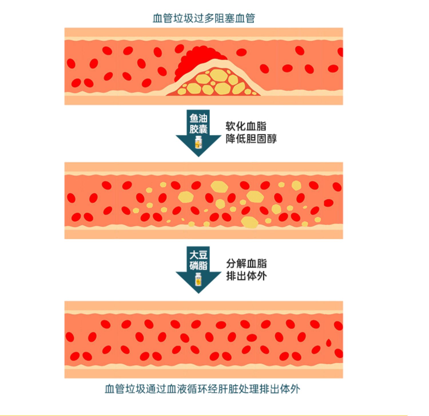 新生命美国原装深海鱼油软胶囊