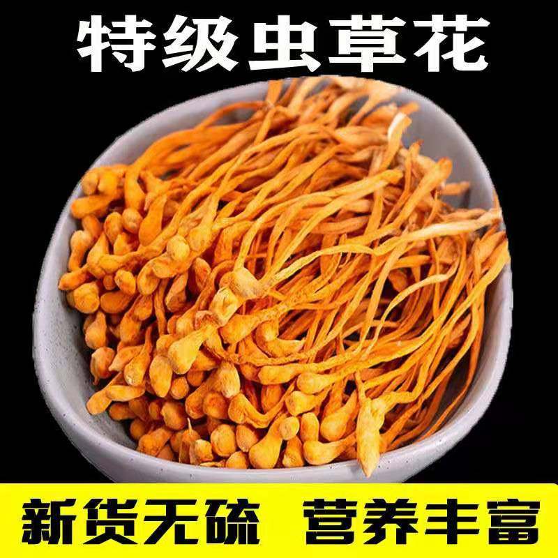 New goods 500 gr Tite grade spores head selection of fresh dry goods North gold Cordyceps militaris flower soup materials No sulphur