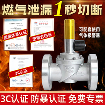 Commercial gas emergency shut-off valve catering kitchen natural gas gas leakage automatic gas shut-off solenoid valve alarm