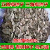 Пентагональные семена семян семян