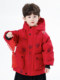 New Year's Outfit for Boys, down Jacket, Winter 2025, New Year's Clothing, Children's Tang Suit, Festive New Year's Clothing, Boys' Winter Coat