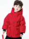 New Year's Outfit for Boys, down Jacket, Winter 2025, New Year's Clothing, Children's Tang Suit, Festive New Year's Clothing, Boys' Winter Coat