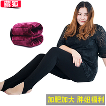 2020 New Autumn and Winter Fat mm200 Jin Leggings Thoughing Plus Velvet Women Outside Wear Tamping Fat Plus Size Slim